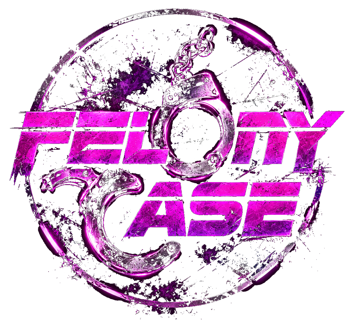 Felony Case
